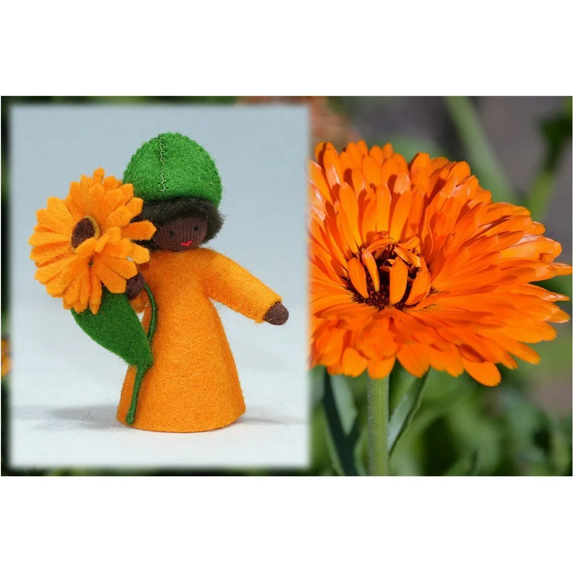 Calendula Prince - Holding Flower, Orange - Dark Skin