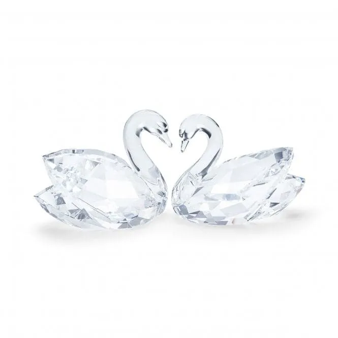 Feathered Beauties Crystal Swan Couple 5493713