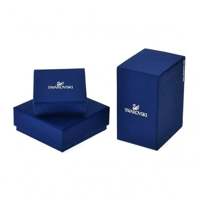 Feathered Beauties Crystal Swan Couple 5493713