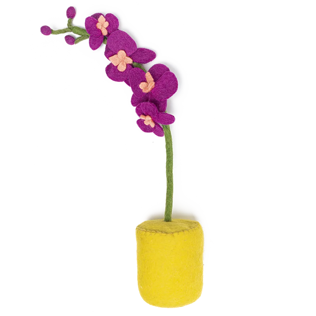 Felt Orchid Pot