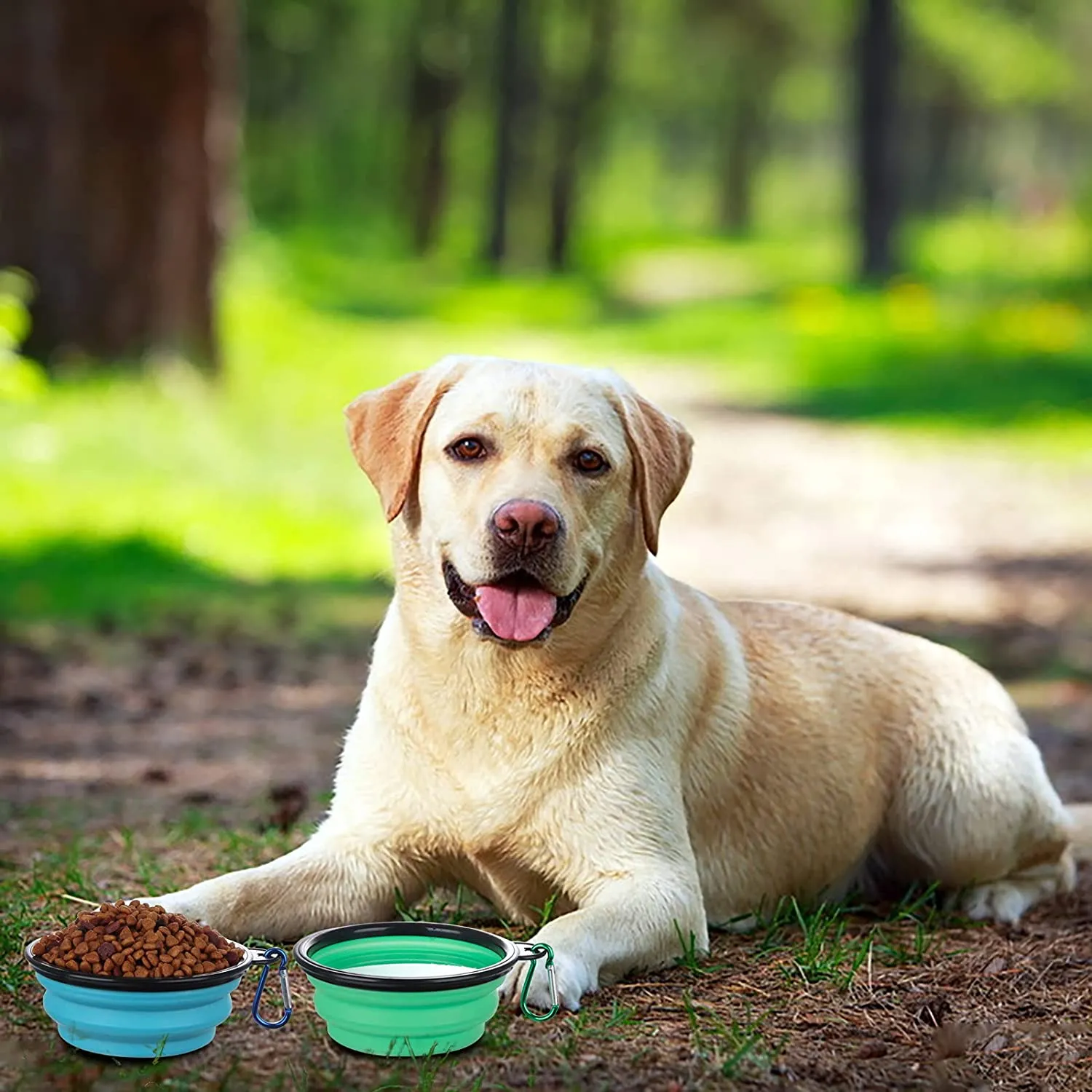 SLSON Collapsible Dog Bowls with Cover Lids,2 Pack Dog Travel Bowls Portable Foldable Cat Water Dish Bowl for Pets Walking Parking Camping,Light Blue and Green
